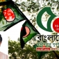 স্বাধীনতার সূবর্ণজয়ন্তী- দেশের উল্টোযাত্রা - সাইফুল হক
