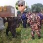 সীমান্ত হত্যাকাণ্ড ও বাংলাদেশ - ভারত সম্পর্ক